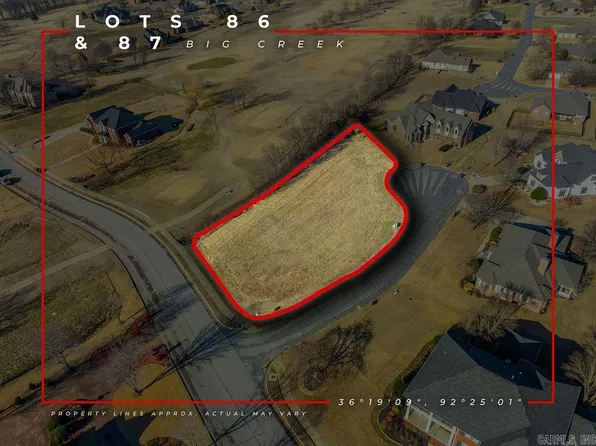 Lts 86 87 Saint Andrews Ct, Mountain Home, AR 72653