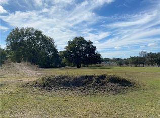 9358 Morton Jones Rd, Gotha, FL 34734