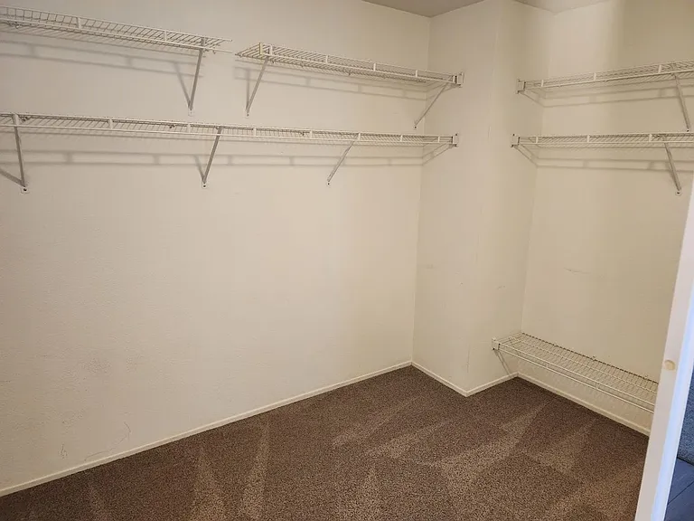 32951 Levi Ct — Photo 19