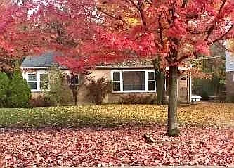 254 Park Ave photo 1