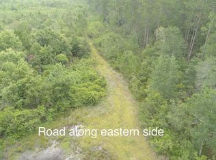 0 Highway 23, Reidsville, GA 30453