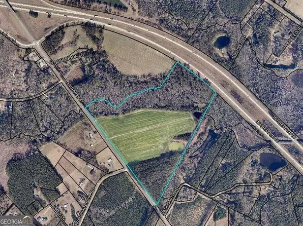 78.35 Acres Hwy #67, Brooklet, GA 30415
