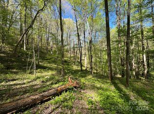 0 E Silvermine Rd, Bryson City, NC 28713