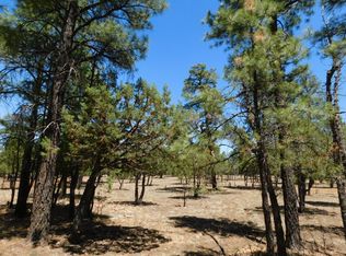 2797 Hummingbird Cir, Happy Jack, AZ 86024