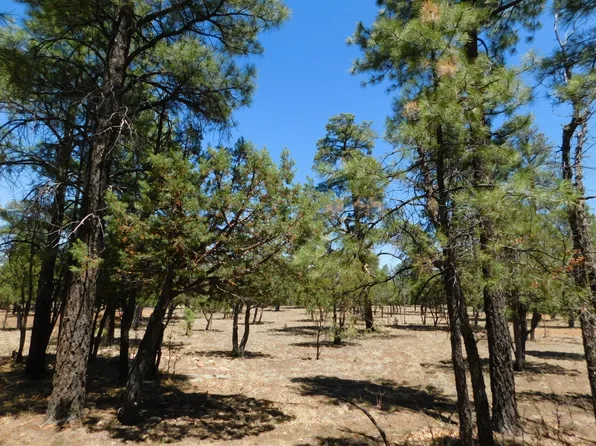 2797 Hummingbird Cir, Happy Jack, AZ 86024