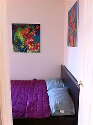 Rented by Douglas Elliman | media 17