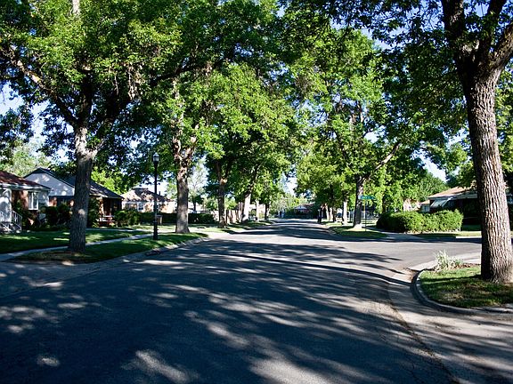 Street Trees Out Front