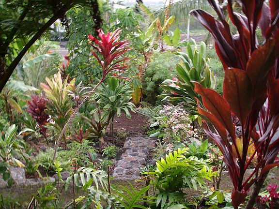 garden area