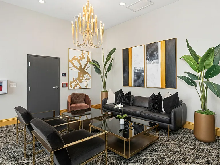 Stateside Student Housing — Photo 13