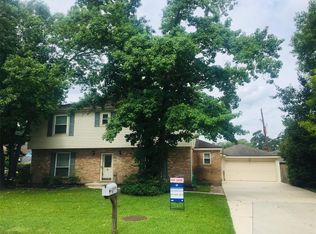 28809 Cherrywood Ln, Shenandoah, TX 77381