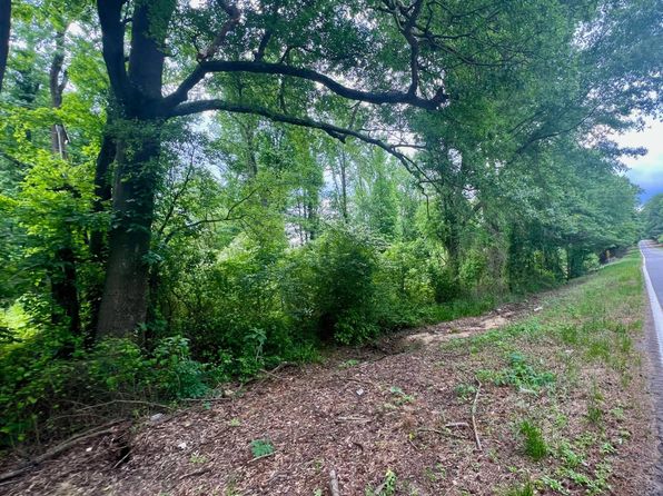 59.26 Ac Hwy #53, Rosston, AR 71858