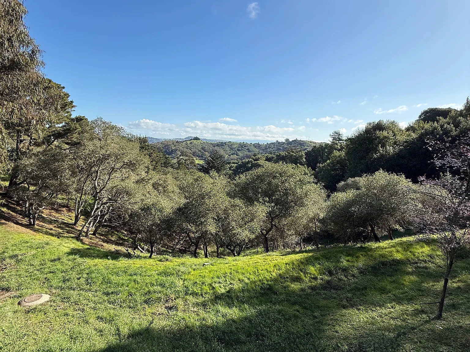 Durant Way, Mill Valley — Photo 2