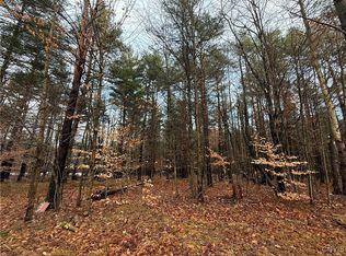 5098 Rugby Rd #50, Brantingham, NY 13312