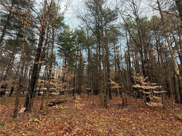 5098 Rugby Rd #50, Brantingham, NY 13312