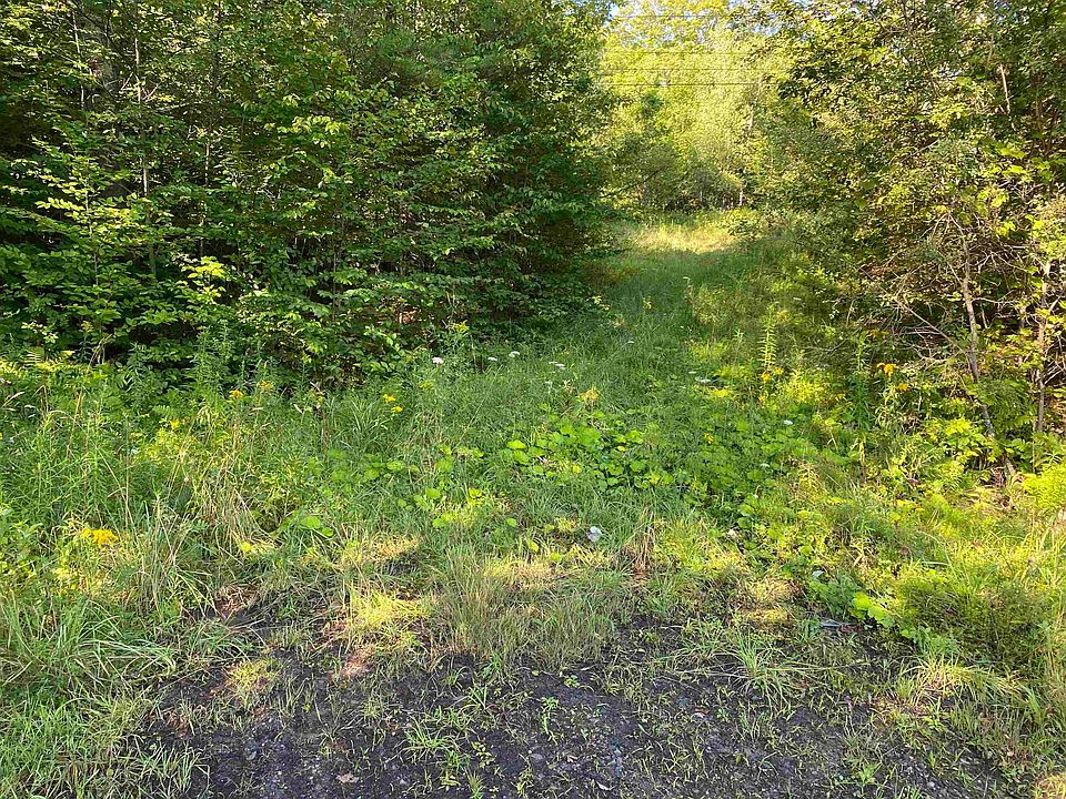 186 Bicknell Hill Road, Tunbridge, VT 05077 Zillow