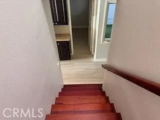 825 Hibiscus Ct — Photo 22