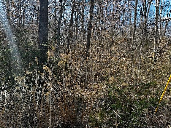 4th image of 0 Bassett Heights Rd Lot 35 36