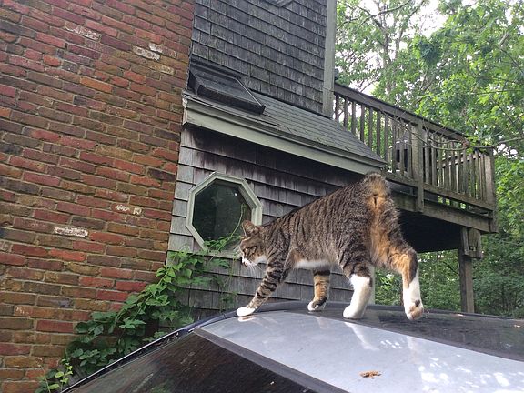 Back has skylight,deck