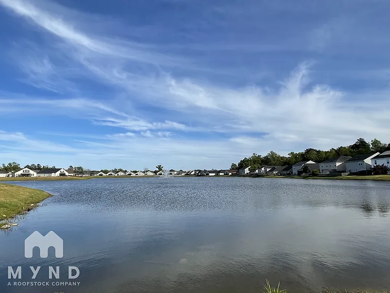 Lake Shore — Photo 31