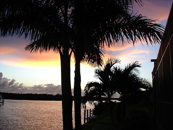 back yard view