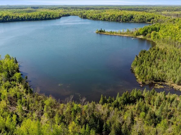 NULLA Ladyslipper Ln, Grand Rapids, MN 55744