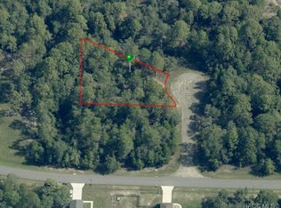 6932 N Steward Point, Citrus Springs, FL 34434