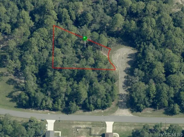 6932 N Steward Point, Citrus Springs, FL 34434