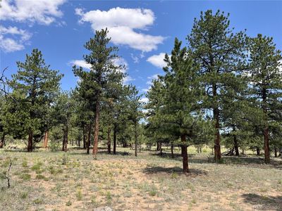 18335 Ponderosa Lane  Lot 6, Buena Vista, CO, 81211