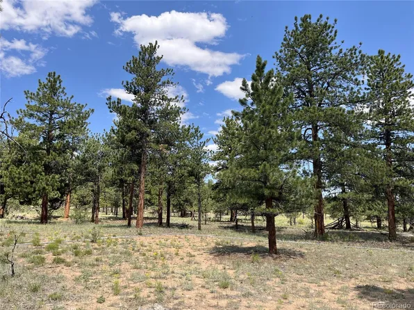 18335 Ponderosa Lane LOT 6, Buena Vista, CO 81211