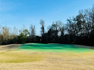 126 Divot Dr, Townsend, GA 31331