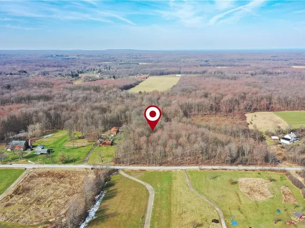 Dewey Rd, Thompson, OH 44086