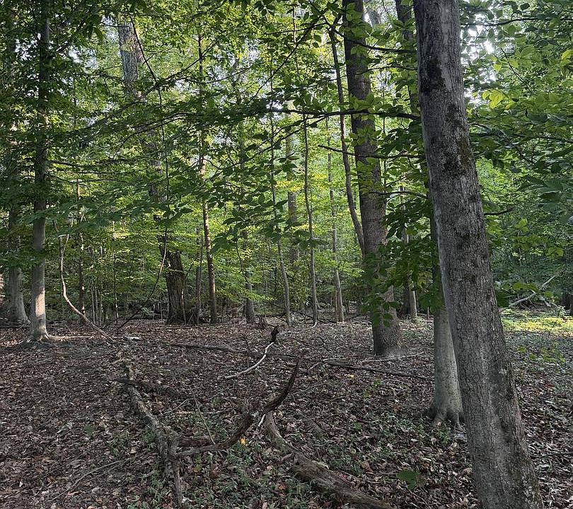 1st image of 8401 Echo Ln