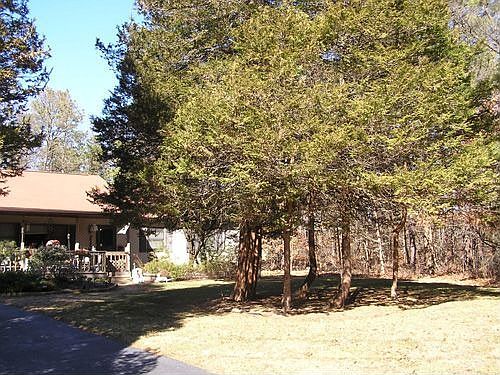 5th image of 109 Barretts Ave