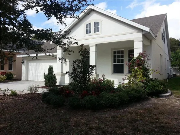 6405 Sea Lavender Ln, Tampa, FL 33625