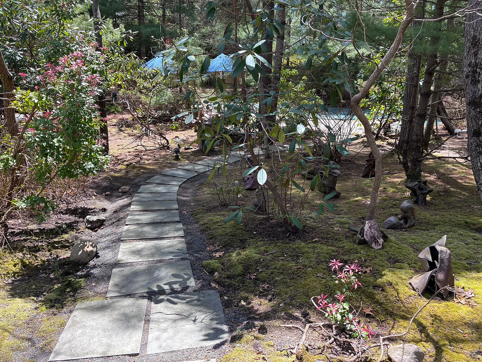 Amazing Pricing...Hilltop Serenity - Moments To Bay Beach — Photo 2