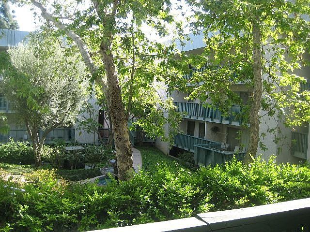 view from the balcony