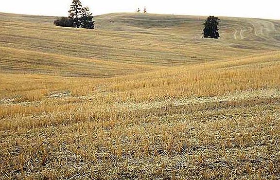 Hilltop view to the South
