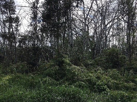 2nd image of 17th St Lot 241