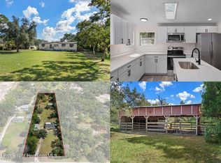 18446 Edgewood Dr, Spring Hill, FL 34610