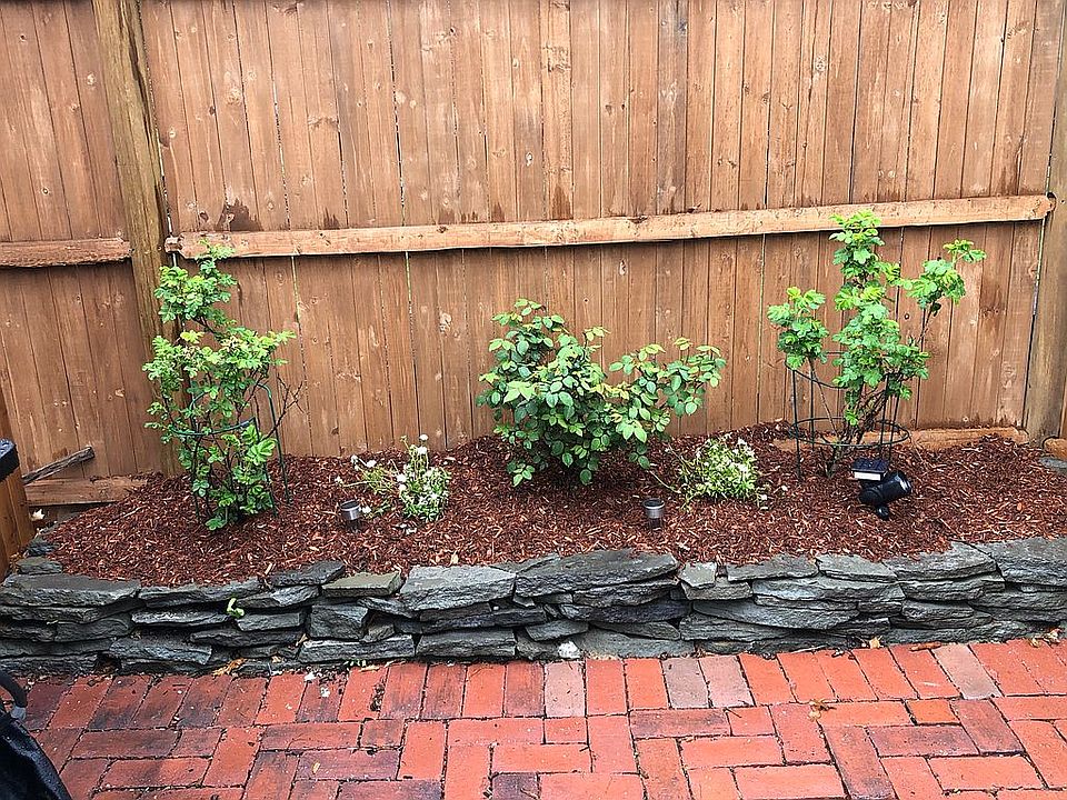 Stone walls & hydrangeas 