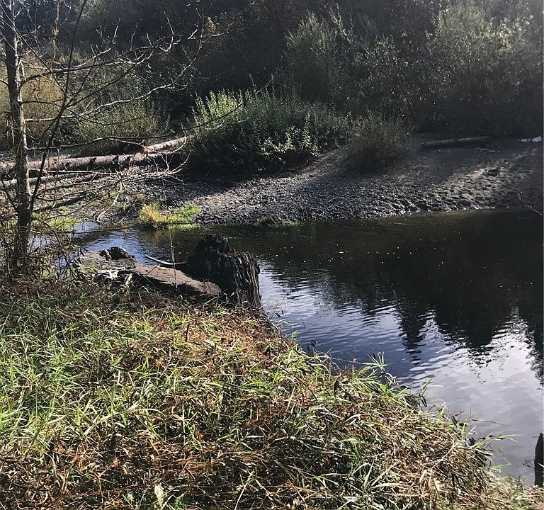 1st image of 1971 NE Tahuya River Dr