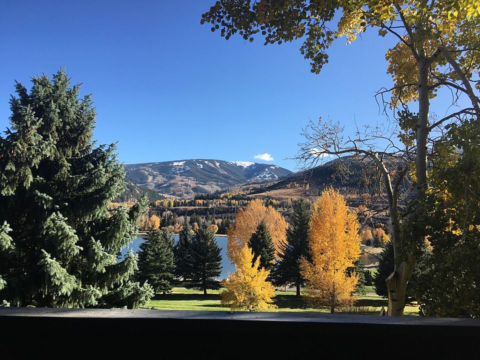 August view from the patio.
