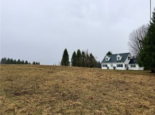 243 Mumbulo Rd, Edmeston, NY 13335