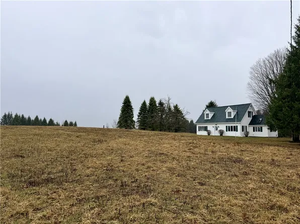 243 Mumbulo Rd, Edmeston, NY 13335