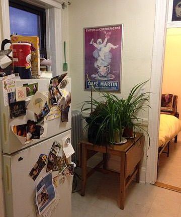 4th image of 3616 38th St APT 14