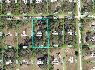 0 Faculty St LOT 4, Webster, FL 33597