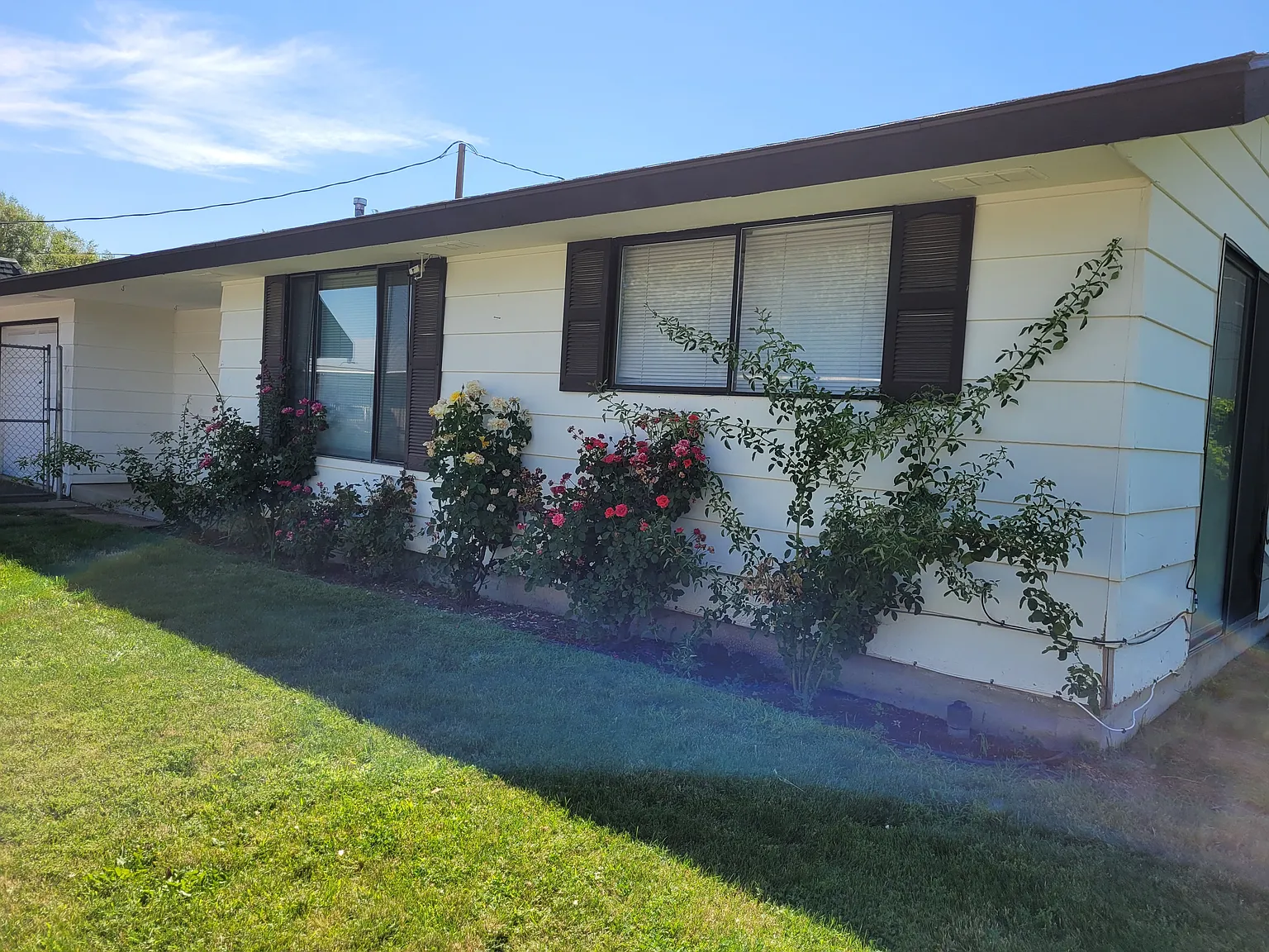 1 bed, 850 sqft, $1,200 — Photo 3