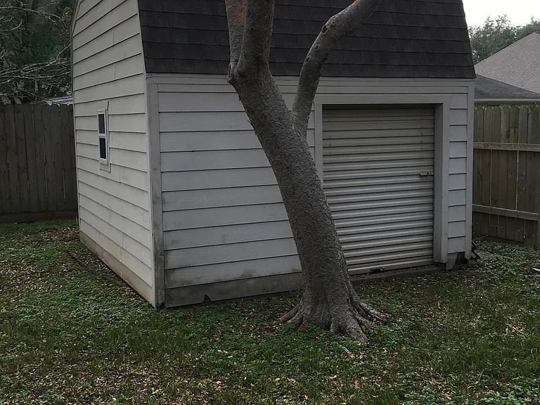 Backyard shed