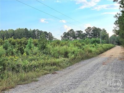 0 G W Oliver Road, Statesboro, GA, 30458