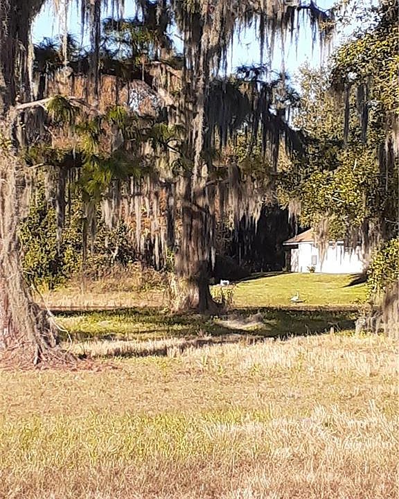 2nd image of 5961 Thunder Rd